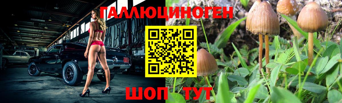 Орёл  Псилоцибиновые грибы Psilocybe  Вход с VPN 