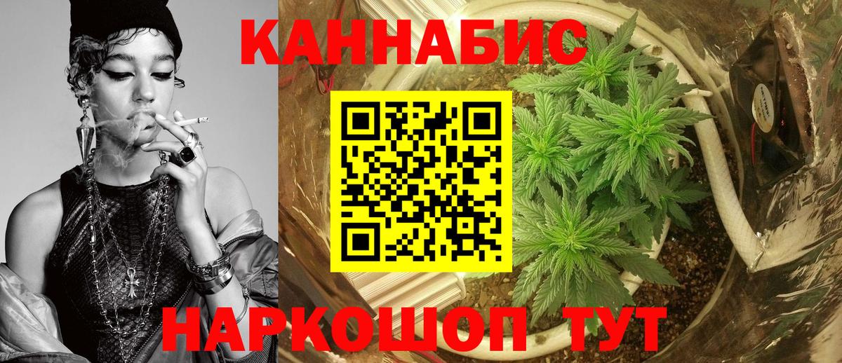Орёл  Конопля MAZAR  Вход с VPN  Бошки Шишки сатива 